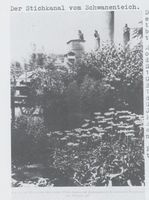 Königsberg (Pr.), Stadtkreis Königsberg Königsberg, Ponarth, Der Stichkanal vom  Schwanenteich Кёнигсберг, Понарт, канал, отходящий от Лебединого пруда
