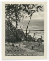 Rauschen Kr. Samland, Kreis Samland Rauschen Kr. Samland, Strand von oben gesehen Rauschen, Strand