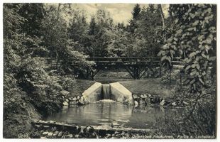 Neukuhren, Kreis Samland Neukuhren, Partie am Lachsbach III Нойкурен, уголок у ручья Лаксбах III