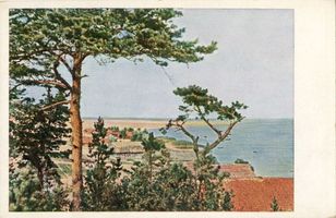 Nidden, Kreis Memel Nidden, Italienblick VI Nidden, Landschaft - Ostsee - Umgebung