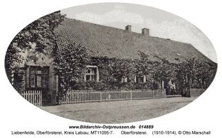 Liebenfelde, Oberförsterei, Kreis Labiau  