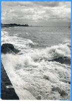 Pillau, Seestadt, Kreis Samland 