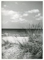 Sassau, Kreis Samland Sassau, Strand bei Sassau 
