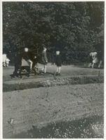Königsberg (Pr.), Stadtkreis Königsberg Hufenallee Königsberg (Pr.), Tiergarten, Ponyreiten Königsberg, Tiergarten