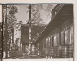  Rominter Heide, Reichsjägerhof Роминтенская пуща, имперский охотничий двор
