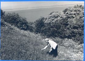 Kahlholz, Kreis Heiligenbeil Kahlholz, Blick von der Kahlholzerhütte zum Frischen Haff Frische Nehrung - Frisches Haff