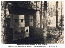 Farienen, Kreis Ortelsburg 