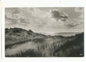Rossitten Kr. Samland, Kreis Samland Rossitten Kr. Samland, Dünen am Haff I Kurische Nehrung, Dünen