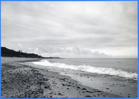  Samländische Steilküste XXV Самбийский обрывистый берег, XXV