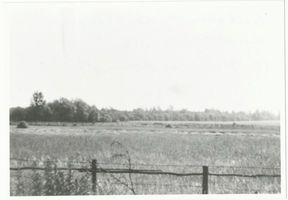 Schloßberg, Kreisstadt, Kreis Schloßberg Schloßberg, Die alte Torfwiese Шлоссберг, старый торфяной луг
