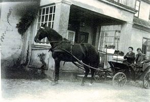 Galben, Kreis Bartenstein Galben, Auffahrt des Gutes Гальбен, въезд в имение