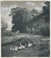 Sulimmen Kr. Lötzen, Kreis Lötzen Sulimmen Kr. Lötzen, Dorfstraße mit Gänsen 