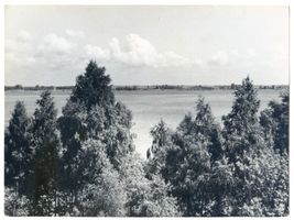  Kurische Nehrung, Blick auf das Kurische Haff bei Memel Куршская коса, вид на Куршский залив у Мемеля