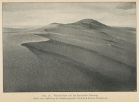  Kurische Nehrung, Wanderdüne Kurische Nehrung, Dünen