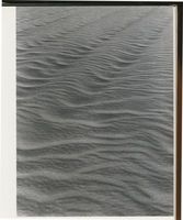  Kurische Nehrung, Dünen, Sandstrukturen, Langdurchgehende Furchen, durchzogen von großen und kleinen Querwellungen Куршская коса, дюны, песчаные структуры, длинные сквозные борозды, пересечённые большими и малыми поперечными волнами