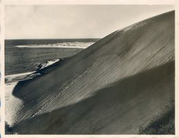  Kurische Nehrung, Sturzdüne bei Nidden Nidden, Landschaft - Ostsee - Umgebung
