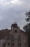  Ostpreußen, Hausgiebel mit Storchennest, wo?? II Восточная Пруссия, фронтон дома с гнездом аиста, где??, II