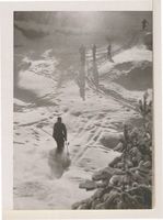  Galtgarben, Skigelände 