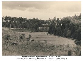 Hirschthal Kr. Ortelsburg, Kreis Ortelsburg 