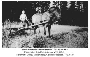 Falkenhöhe Kr. Elchniederung, Kreis Elchniederung 