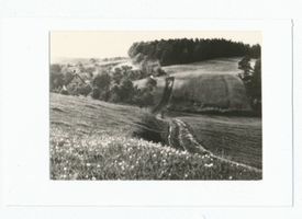  Krs. Elbing, im Hügelland der Elbinger Höhe, Kuckucksgrund 
