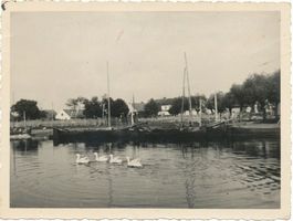 Schaaksvitte, Kreis Samland Schaaksvitte, Ortsansicht vom See aus 