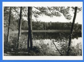  Lyck (Kreis) Am Tatarensee Лык (уезд), у Татарского озера