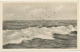 Narmeln, Kreis Elbing Narmeln, Ostsee bei Narmeln 