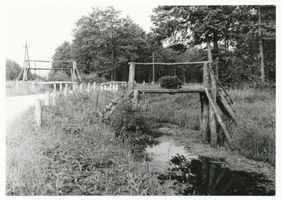 Pfeil Kr. Labiau, Kreis Labiau Pfeil Kr. Labiau, Memeldelta, Im Forst Peil Пфайль, уезд Лабиау, дельта Мемеля, в лесу Пайль