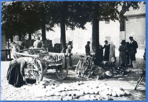 Memel, Stadt, Stadtkreis Memel Memel, Markt, Handel mit  Klumpen  II Memel, Marktleben