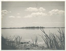  Mauersee, bei Lötzen,  Windstille  Masurische Seen