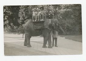 Königsberg (Pr.), Stadtkreis Königsberg Hufenallee