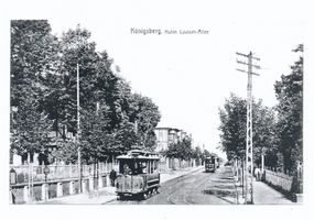 Königsberg (Pr.), Stadtkreis Königsberg Luisenallee Königsberg, Luisenallee, Hufen Кёнигсберг, Луизеналлее, Хуфен