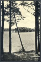  Niedersee, Am Niedersee III Masurische Seen
