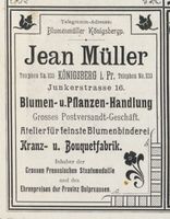 Königsberg (Pr.), Stadtkreis Königsberg Junkerstraße Königsberg (Pr.), Junkerstraße, Blumen- und Pflanzenhandlung, Jean Müller Königsberg, Anzeigen