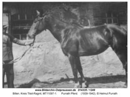 Billen, Kreis Tilsit-Ragnit 