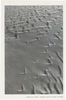  Kurische Nehrung, Dünen, Sandstrukturen, Runenartige Zeichen, entstaden durch die Arbeit des Windes Kurische Nehrung, Dünen, Sandstrukturen