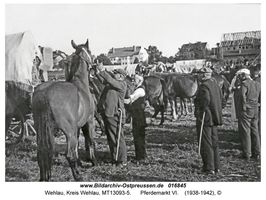 Wehlau, Kreis Wehlau 