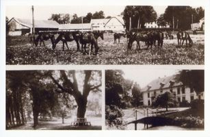 Kallen, Kreis Samland Kallen, Gutsgebäude, Park, Gutshaus 