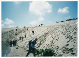  Kurische Nehrung, Auf den Dünen III Kurische Nehrung, Dünen