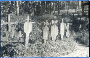 Nidden, Kreis Memel Nidden, Friedhof XXII Нидден, кладбище, XXII