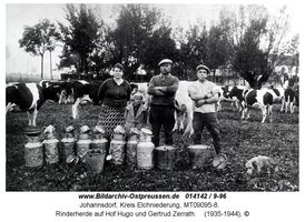 Johannsdorf Kr. Elchniederung, Kreis Elchniederung 