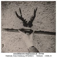 Waldrode, Kreis Ortelsburg 