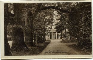 Steinort Kr. Angerburg, Ort, Kreis Angerburg Steinort Kr. Angerburg, Eichenallee im Park V 