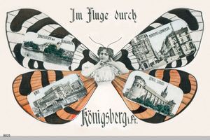 Königsberg (Pr.), Stadtkreis Königsberg 