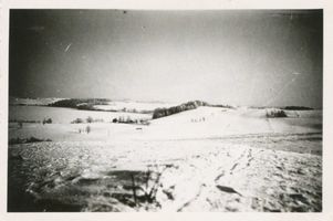  Kreis Mohrungen, Blick vom Teufelsberg bei Herzogswalde auf den Wuchsnig-See 