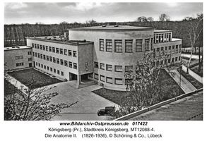 Königsberg (Pr.), Stadtkreis Königsberg Steindammer Wall 47