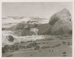  Ostsee, Steinbrocken Nidden, Landschaft - Ostsee - Umgebung