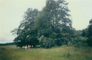 Peterswalde Kr. Elchniederung, Kreis Elchniederung 