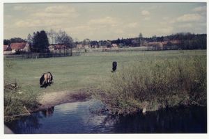 Hellmahnen, Kreis Lyck 